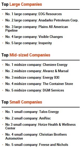Houston_Chronicle_Top_Employers_three_categories.jpg